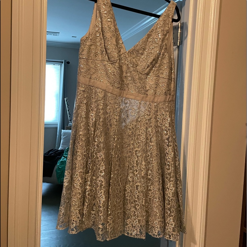 Beautiful silver lace dress. Never worn.